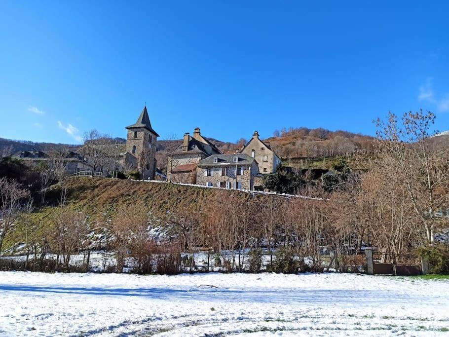Maison Familiale Et Authentique Saint-Jacques-des-Blats Bagian luar foto