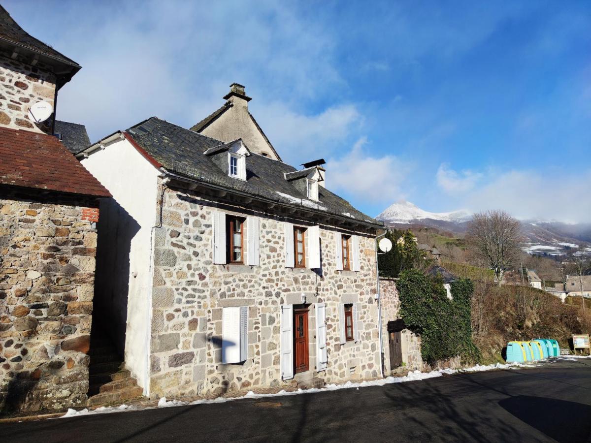 Maison Familiale Et Authentique Saint-Jacques-des-Blats Bagian luar foto
